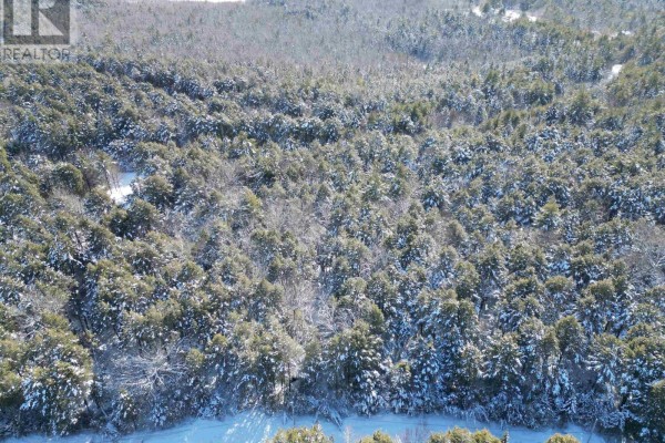 Lot 22 Peters Drive, Upper Ohio, NS B0T1W0 Photo 4