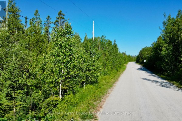 Lot 22 Ray Drive, Northern Bruce Peninsula, ON N0H2R0 Photo 2