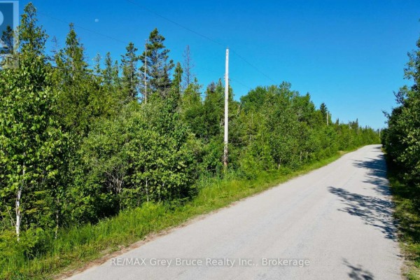 Lot 22 Ray Drive, Northern Bruce Peninsula, ON N0H2R0 Photo 3