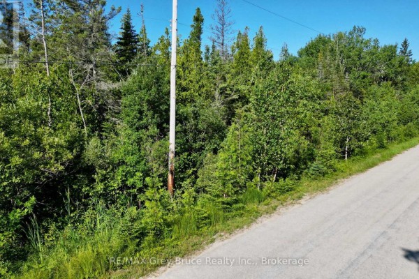 Lot 22 Ray Drive, Northern Bruce Peninsula, ON N0H2R0 Photo 4