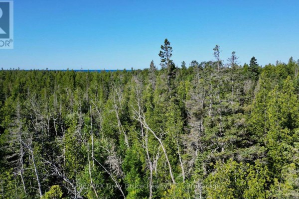 Lot 22 Ray Drive, Northern Bruce Peninsula, ON N0H2R0 Photo 5