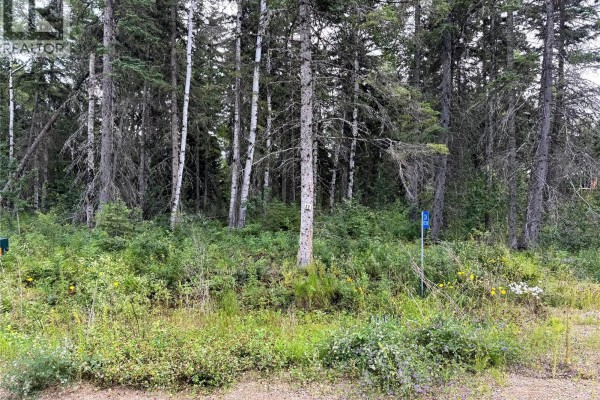 Lot 22 Turtle Cove, Turtle Lake, SK, photo 3