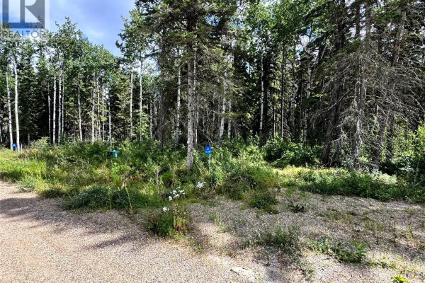 Lot 22 Turtle Cove, Turtle Lake, SK S7H1Y5 Photo 5