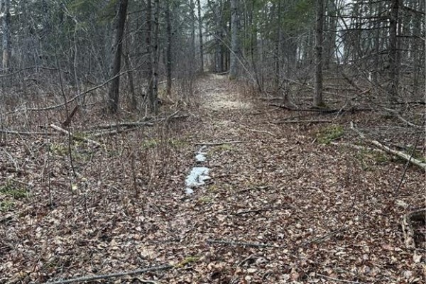 Lot 23-03 Chemin Du Lac, Memramcook East, NB E4K1P7 Photo 3