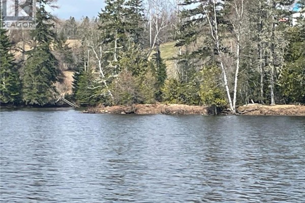 Shoreline of a lake with mixed trees and a grassy bank. - Lot 23-1 And Lot 23-2 Alden Warmen Road, Bass River