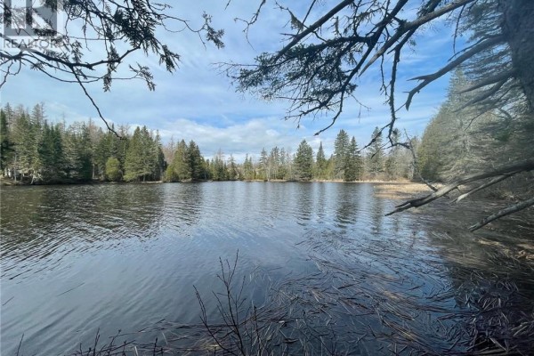 Lakefront view with trees and branches framing the water and sky. - Lot 23-1 And Lot 23-2 Alden Warmen Road, Bass River