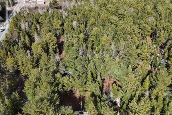 Lot 23-1 Main Street, Rexton, NB E4W1Z7 Photo 5