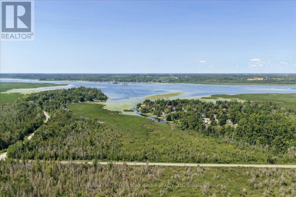 Lot 23 10 Concession, Kawartha Lakes, ON K0L1T0 Photo 5