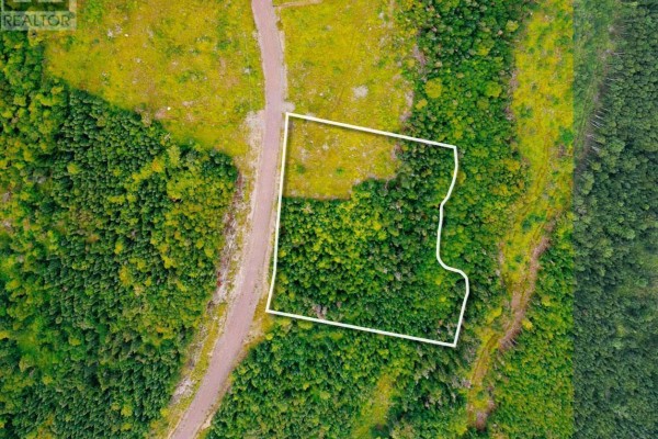 Lot 23-2 No 4 Highway, East Havre Boucher, NS B0H1P0 Photo 5