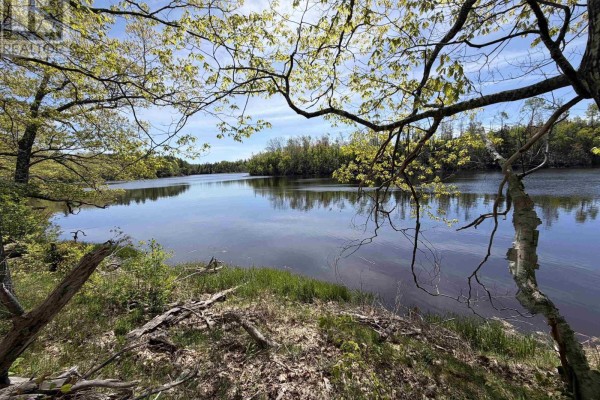 View of a calm river through a stand of deciduous trees with green leaves. - Lot 23-2 Wallace Bridge Station Road, Wallace River West