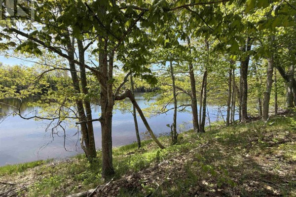 Close-up view of tree trunks and branches framing a wide, tranquil river. - Lot 23-2 Wallace Bridge Station Road, Wallace River West