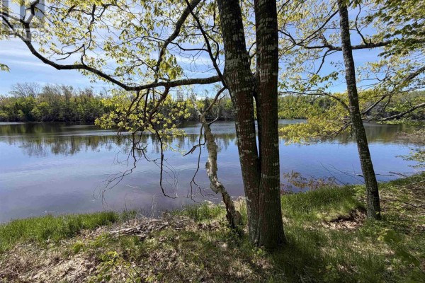 Shoreline with fallen branches and grass overlooking a wide, calm river with trees in the distance. - Lot 23-2 Wallace Bridge Station Road, Wallace River West