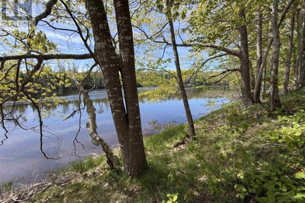 Green grassy field with trees and telephone poles in the distance under a blue sky. - Lot 23-2 Wallace Bridge Station Road, Wallace River West
