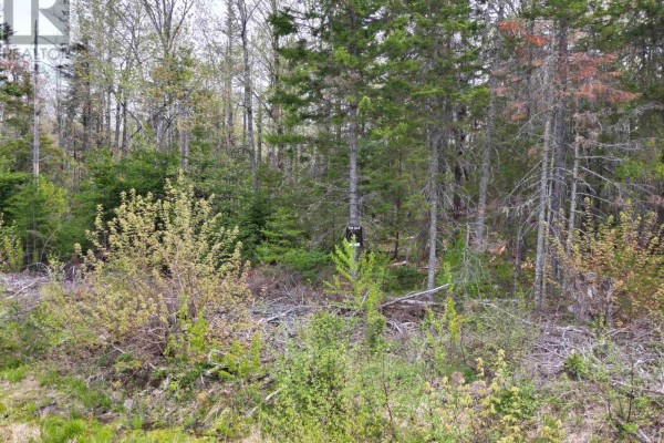 Lot 23-5 Whiskey Way, Wentworth, NS B0M1Z0 Photo 3