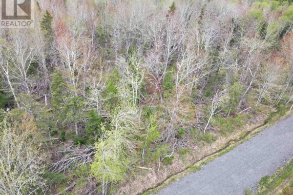 Lot 23-5 Whiskey Way, Wentworth, NS B0M1Z0 Photo 5