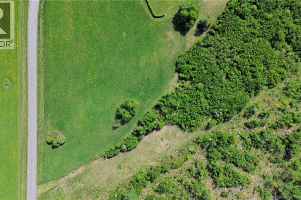Close-up aerial view of Lot 24-01 Mckenna Road, Newburg, showing the border between a grassy field and a treed area. - Lot 24-01 Mckenna Road, Newburg