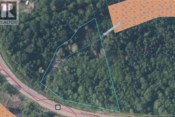Overhead view of a forested parcel of land with an irregular blue outline near a highway. - Lot 24-02 Route 560, Listerville