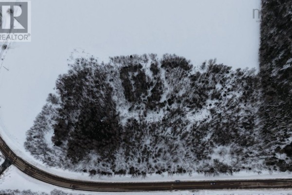 Aerial top-down view of a cluster of trees surrounded by snow, with a curved road in the foreground. - Lot 24-1 Rankinville Road, Mabou