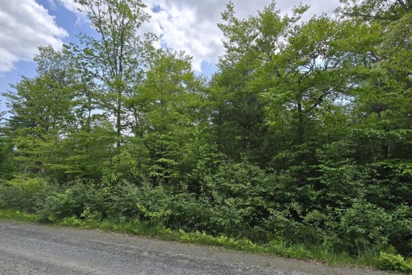 Lot 24-3 East Clifford Road, East Clifford, NS B4V7R8 Photo 5