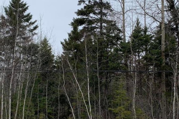 Lot 24-3 Little Harbour Road, Frasers Mountain, NS B2H3T5 Photo 4