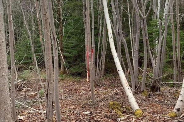 Lot 24-3 Little Harbour Road, Frasers Mountain, NS B2H3T5 Photo 5