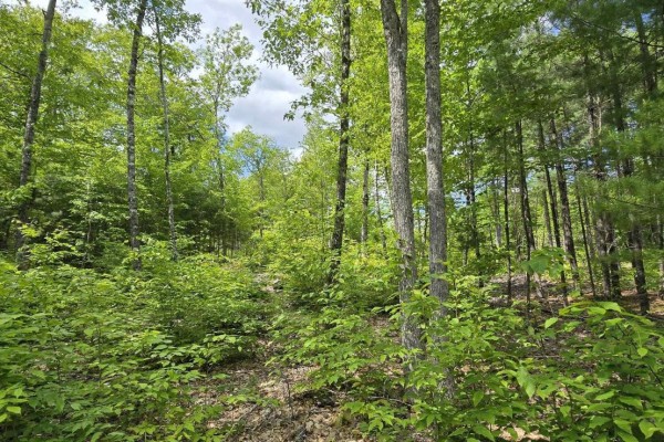 Lot 24-4 East Clifford Road, East Clifford, NS, photo 2