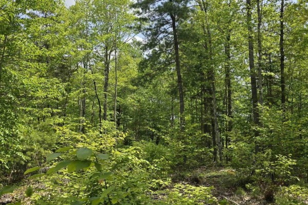 Lot 24-4 East Clifford Road, East Clifford, NS, photo 3