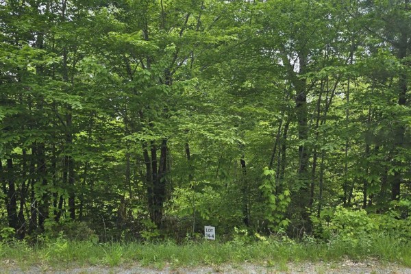 Lot 24-4 East Clifford Road, East Clifford, NS B4V7R8 Photo 5