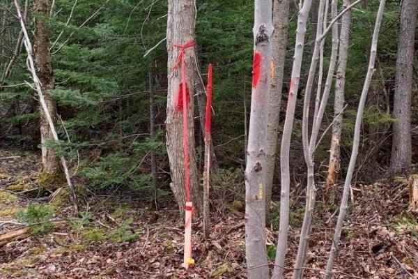 Lot 24-4 Little Harbour Road, Frasers Mountain, NS B2H3T5 Photo 5
