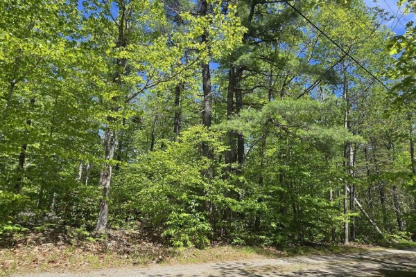 Lot 24-5 East Clifford Road, East Clifford, NS, photo 2