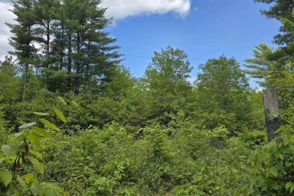 Lot 24-5 East Clifford Road, East Clifford, NS B4V7R8 Photo 5