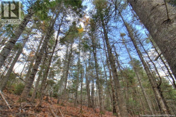 Lot 24-8 Creekview Lane, Galloway, NB E4W2G6 Photo 4