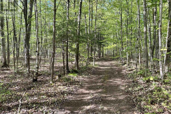 Lot 24 Concession 14 Keppel Concession, Georgian Bluffs, ON N0H2K0 Photo 5