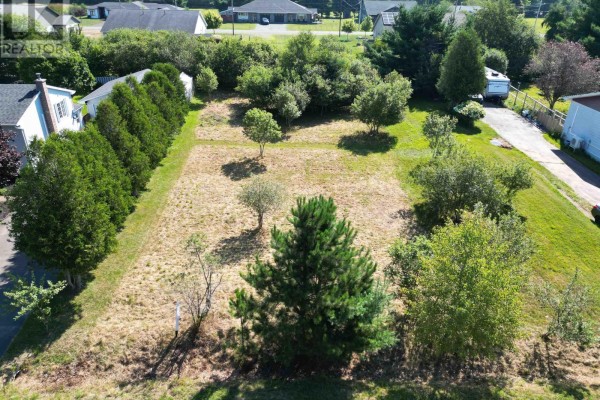 Lot 24 Old Court House Branch Road, Murray Siding, NS B6L3X4 Photo 4
