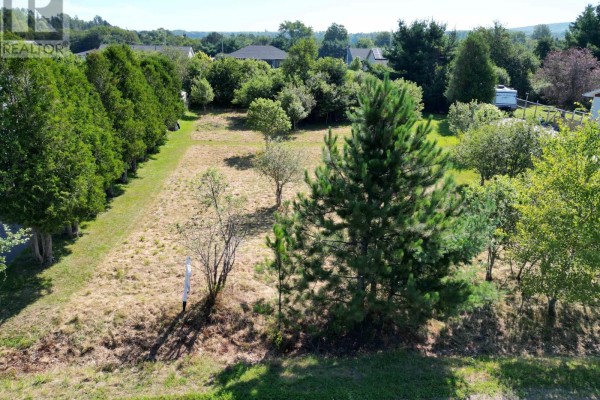 Lot 24 Old Court House Branch Road, Murray Siding, NS B6L3X4 Photo 5