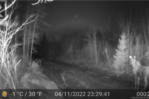 Lot 25-02 Route 490, Dundas, NB E1G3R7 Photo 5