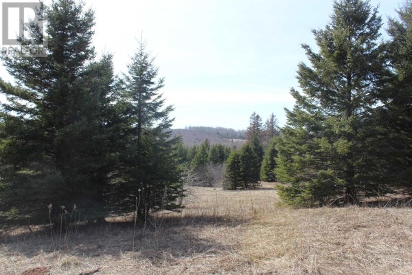 Lot 25-1 Dixon Road, Breadalbane, PE C0A1B0 Photo 5