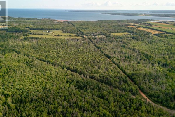 Lot 25-1 Mill Road, Degros Marsh, PE C0A1G0 Photo 5