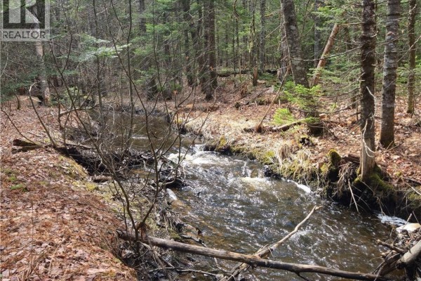 Lot 25-1 Niagara Road, Pine Glen, NB E1J1S4 Photo 2