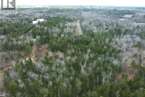 Lot 25-1 Niagara Road, Pine Glen, NB E1J1S4 Photo 4