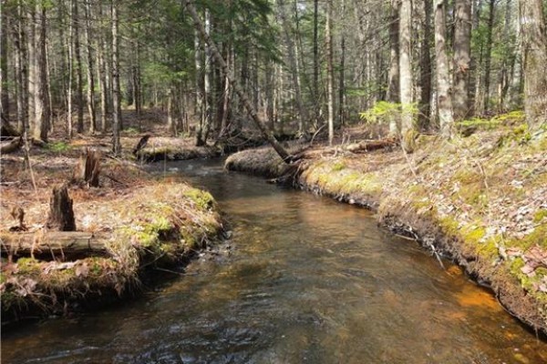 Lot 25-1 Niagara Road, Pine Glen, NB E1J1S4 Photo 5