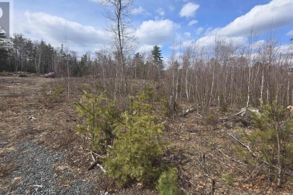 Lot 25-1 Upper Branch Road, Midville Branch, NS B4V4T1 Photo 2