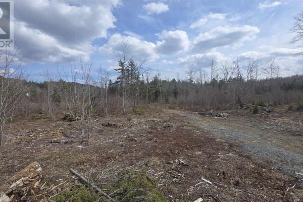 Lot 25-1 Upper Branch Road, Midville Branch, NS B4V4T1 Photo 3