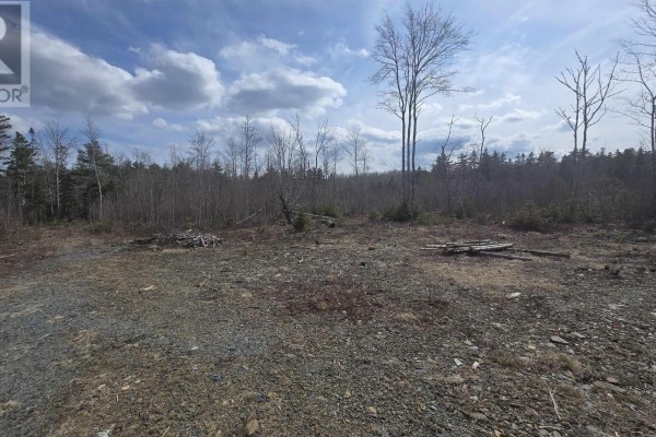 Lot 25-1 Upper Branch Road, Midville Branch, NS B4V4T1 Photo 4