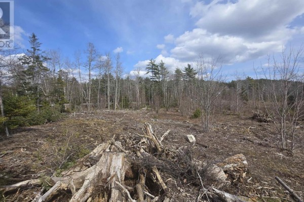 Lot 25-1 Upper Branch Road, Midville Branch, NS B4V4T1 Photo 5