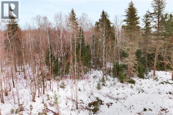 Lot 25-2 Cumberland Bay North Road, Cumberland Bay, NB O0O0O0 Photo 2