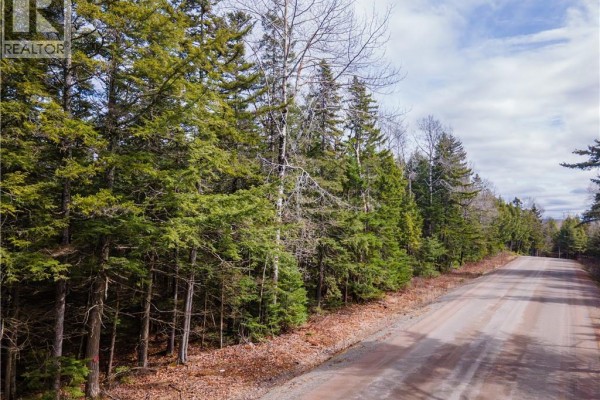 Lot 25-4 Buckley Settlement Road, Anagance, NB E4Z1B9 Photo 5