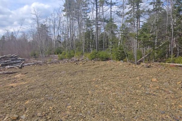 Lot 25-4 Upper Branch Road, Midville Branch, NS B4V4T1 Photo 2