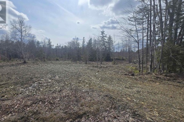 Lot 25-4 Upper Branch Road, Midville Branch, NS B4V4T1 Photo 5
