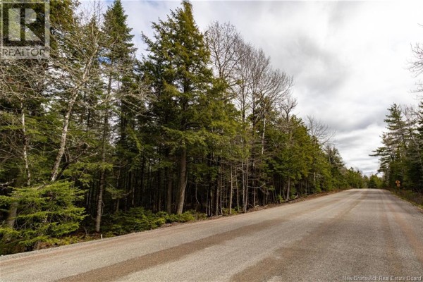 Lot 25-5 Buckley Settlement Road, Anagance, NB E4Z1B9 Photo 4